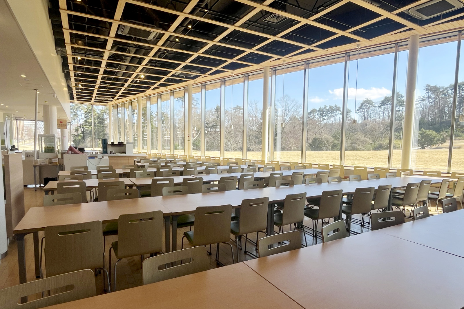 東北 大学 学 食