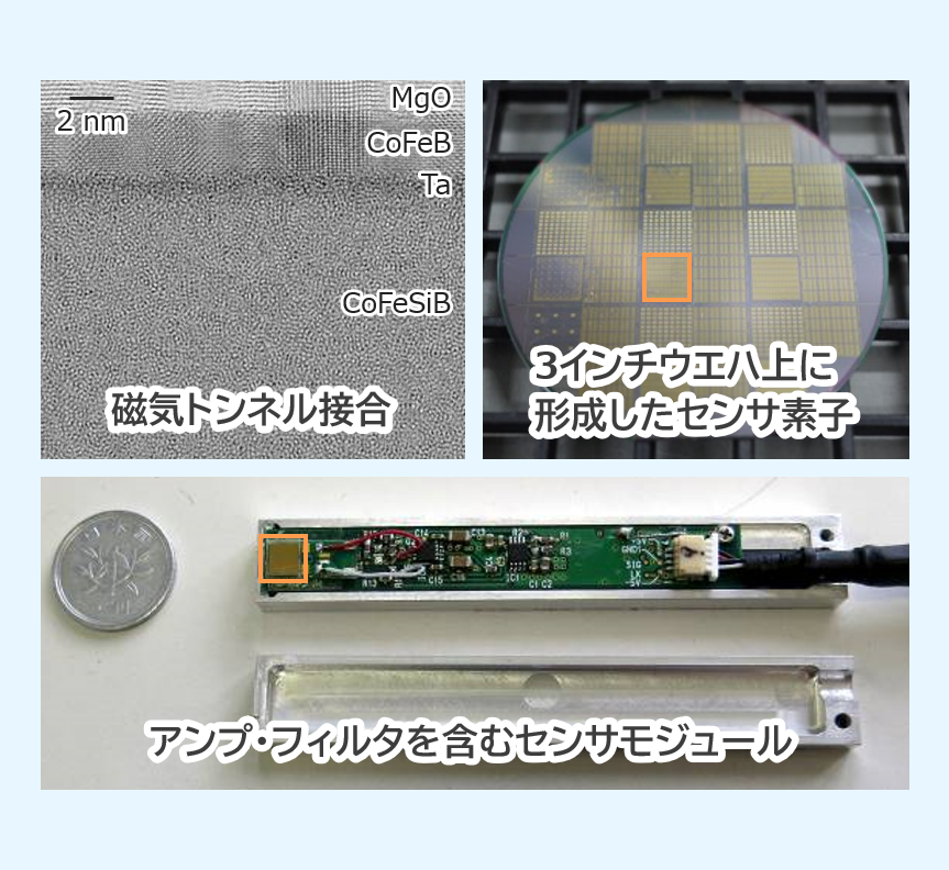 トンネル磁気抵抗センサの開発イメージ