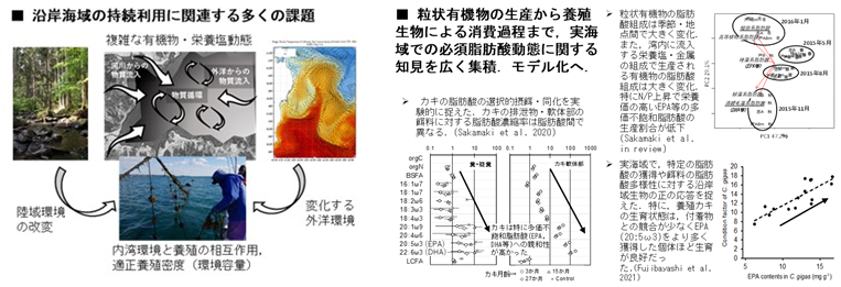 研究概要