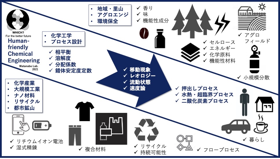 研究の全体像
