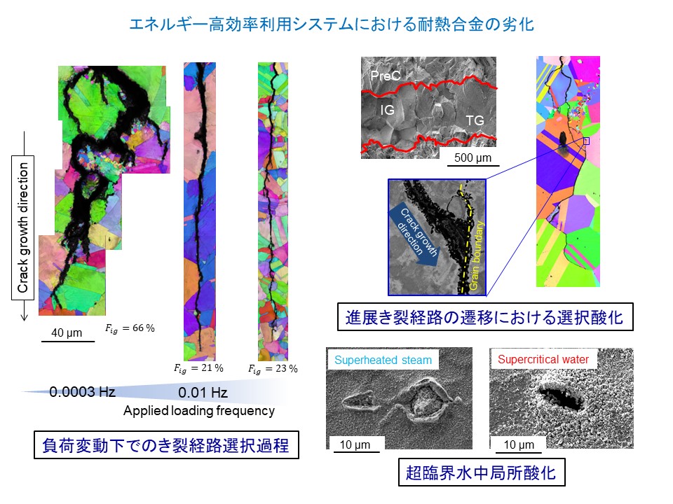 研究概要