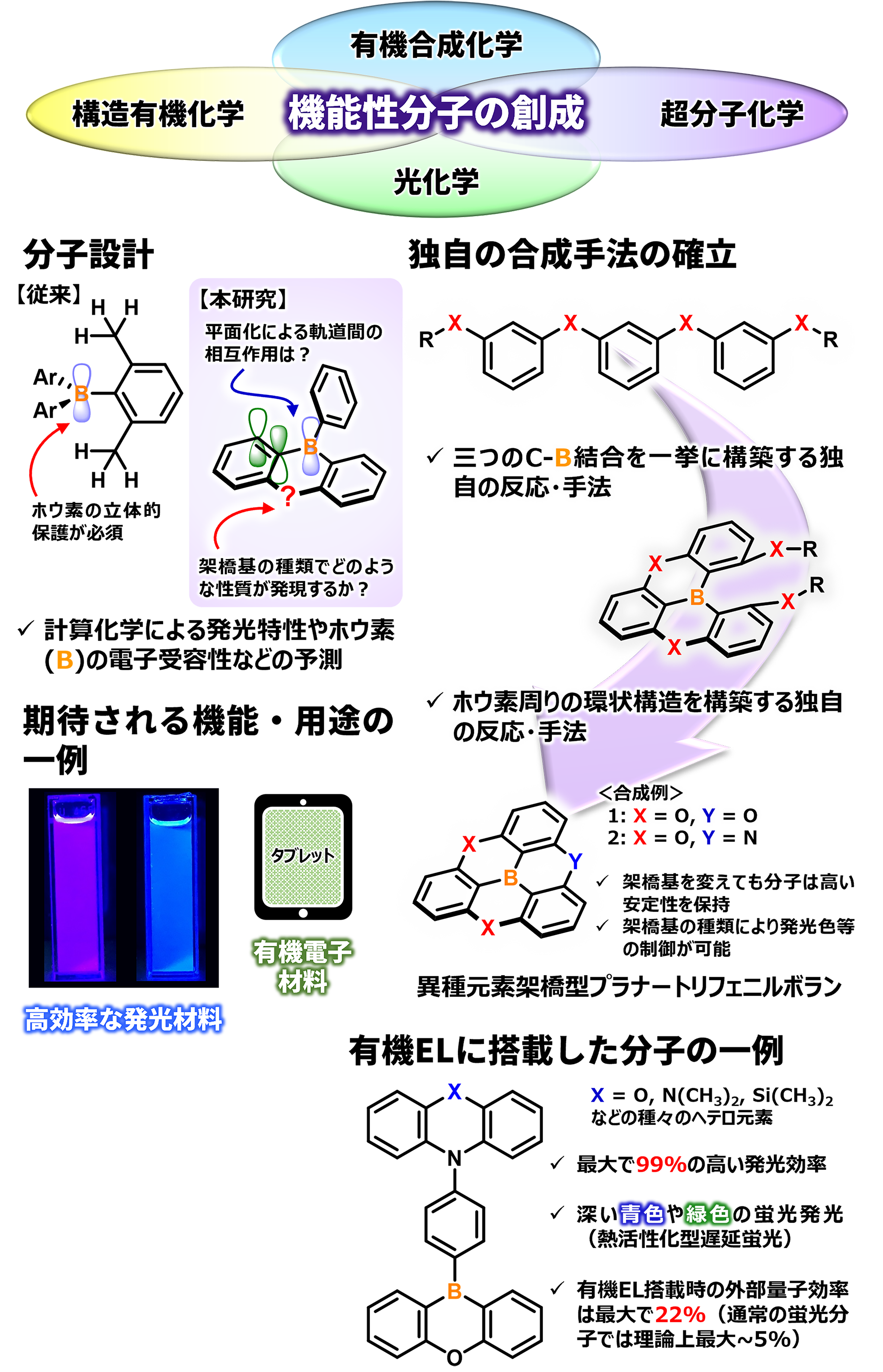 研究概要