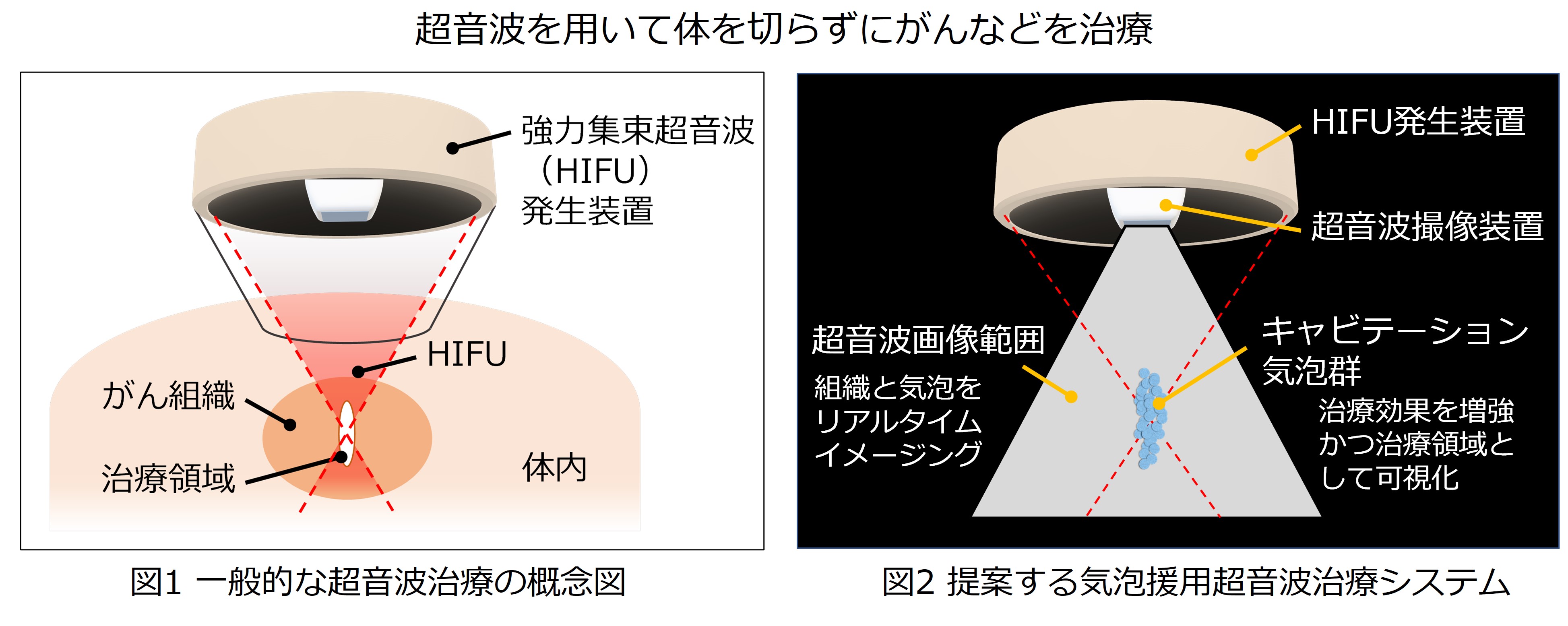 研究概要