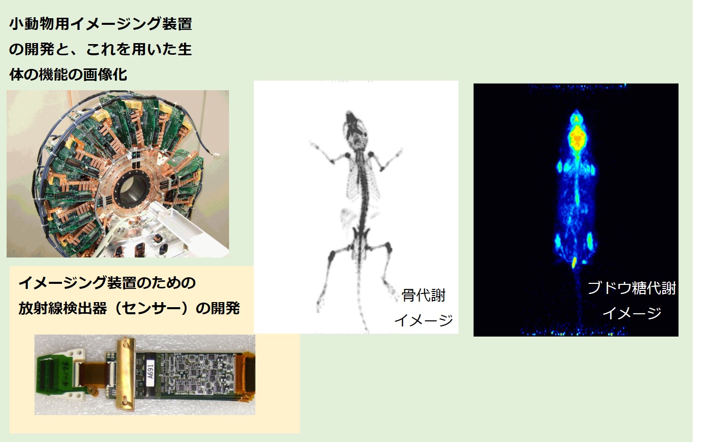 研究概要